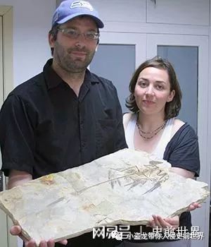 恐龙到底是什么颜色,科学家最初认为恐龙的样子