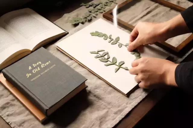 干花工艺画教程,干花做标本画