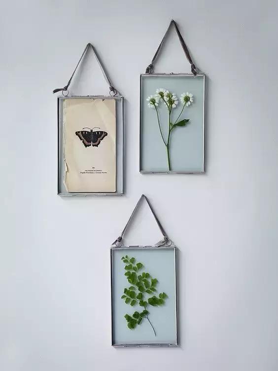 干花工艺画教程,干花做标本画