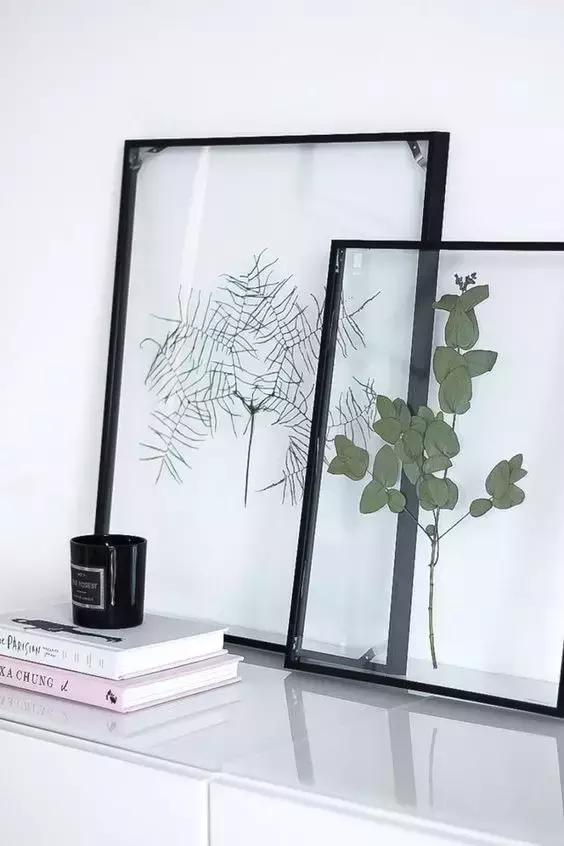 干花工艺画教程,干花做标本画