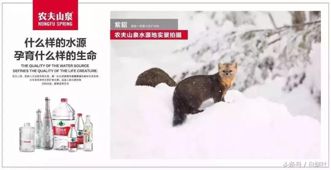 品牌管理，就是管理消费者认知