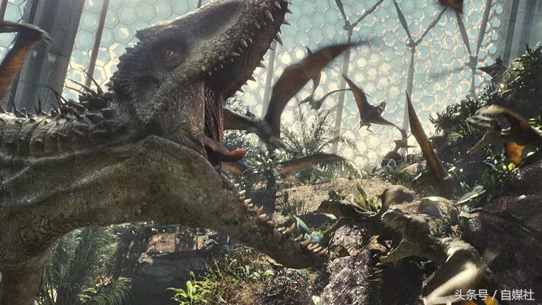 品牌管理，就是管理消费者认知