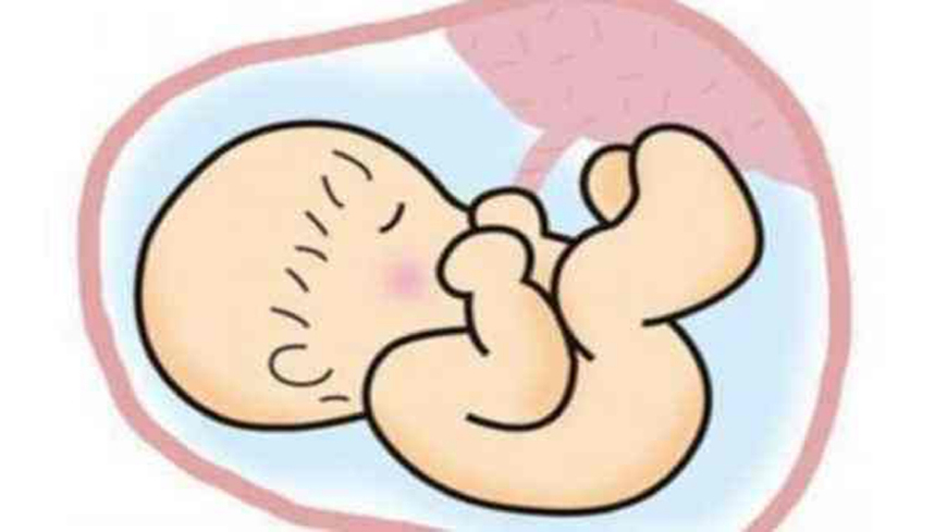 胎停时孕妈会有这4种“反应”，要及时就诊，反之则可能流产