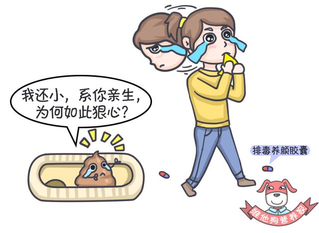 足贴、清肠丸、大麦若叶真的有效吗？戳穿朋友圈9大排毒网红