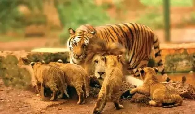 海南最值得去的几个地方,海南博鳌美不美