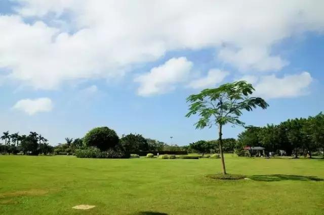 海南最值得去的几个地方,海南博鳌美不美