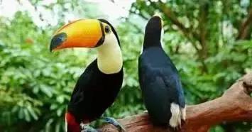 海南最值得去的几个地方,海南博鳌美不美