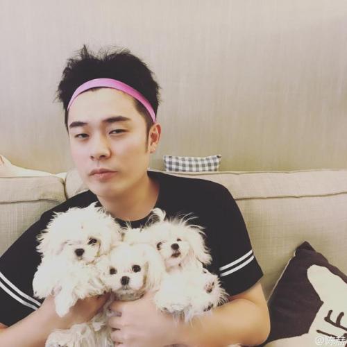 著名演员陈赫,陈赫当红艺人