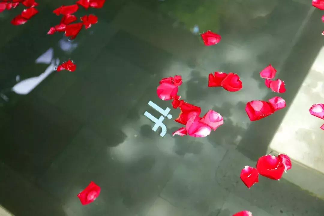 ifer来信:被if姐清空购物车,手抖一上午……