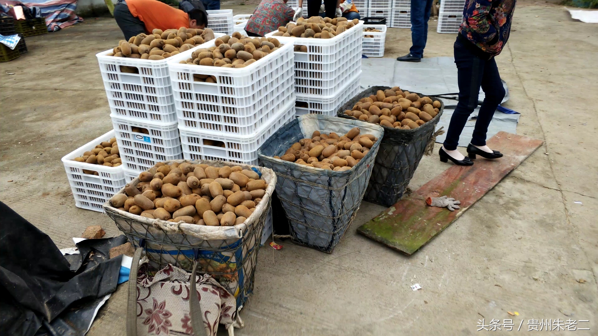 助农增产增收增效益,助农增收新型产业