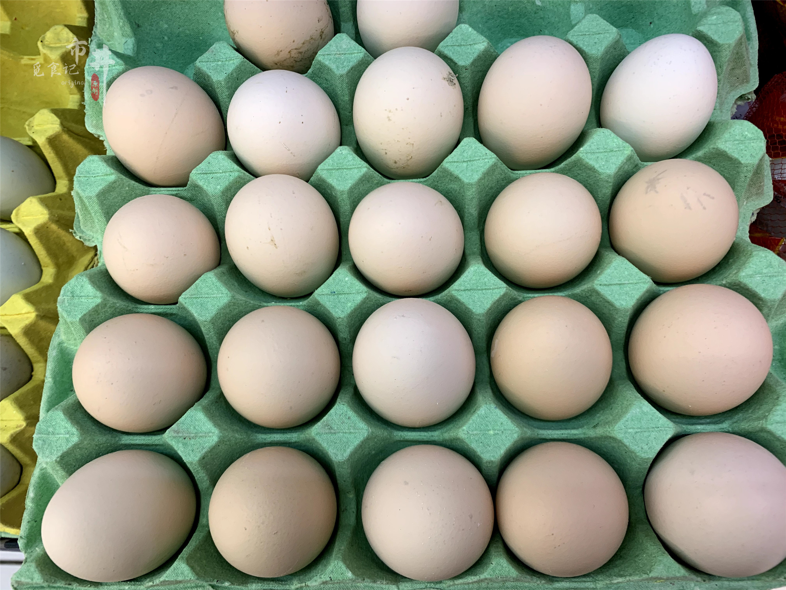 白壳鸡蛋和红壳鸡蛋哪个贵点,买鸡蛋要买壳厚的还是壳薄的
