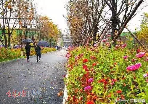 长春公园新建足球场,长春有足球场的公园