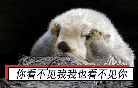 我的十一长假,我的十一假期