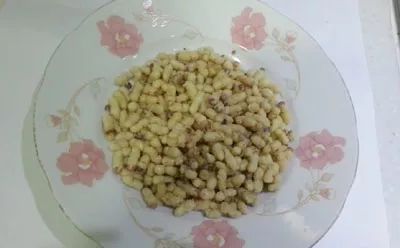 马蜂蜇人几针会致死,马蜂蜇人会致人死亡吗