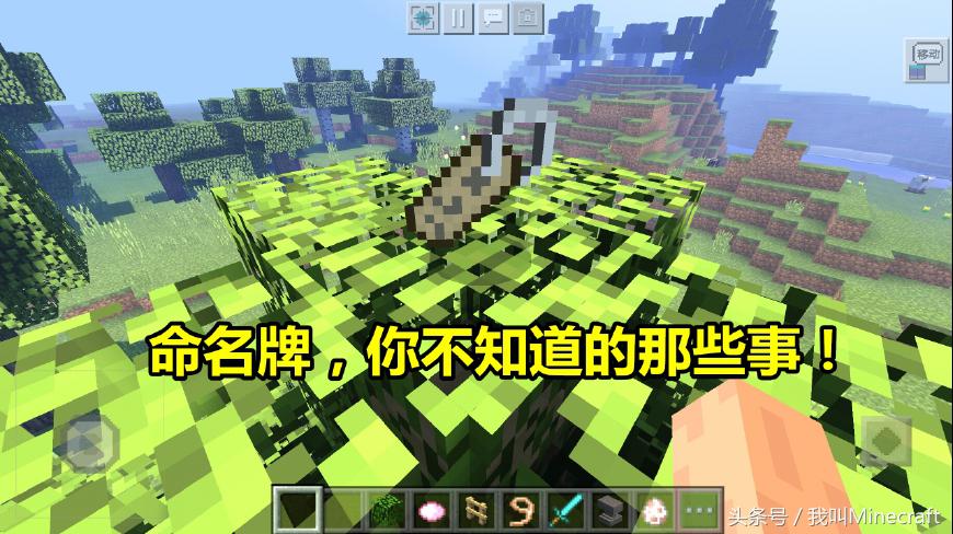 minecraft命名牌彩蛋,我的世界网易版命名牌彩蛋猪神