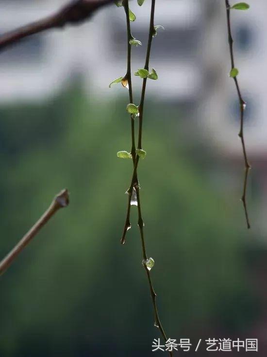 最触动心灵的十首诗词,9首打动人心的经典诗词