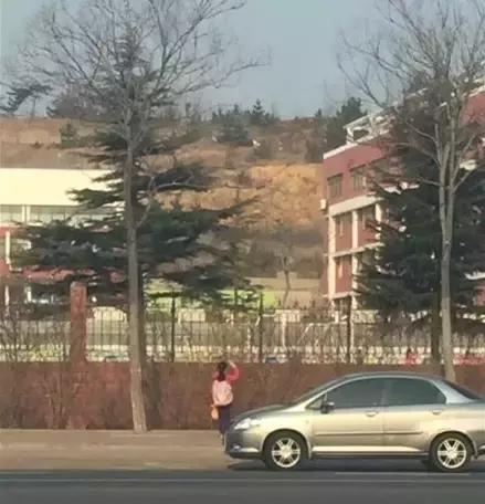 网红莉哥改歌词,网红莉哥歌曲