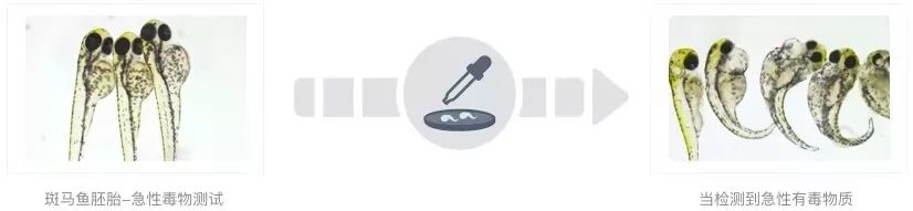 浸会大学最新发现：防晒霜也可影响生殖能力！