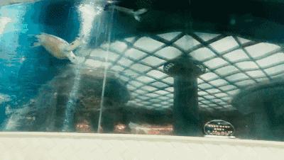 为什么辽宁沈阳被称为中国浴都,中国三大浴城