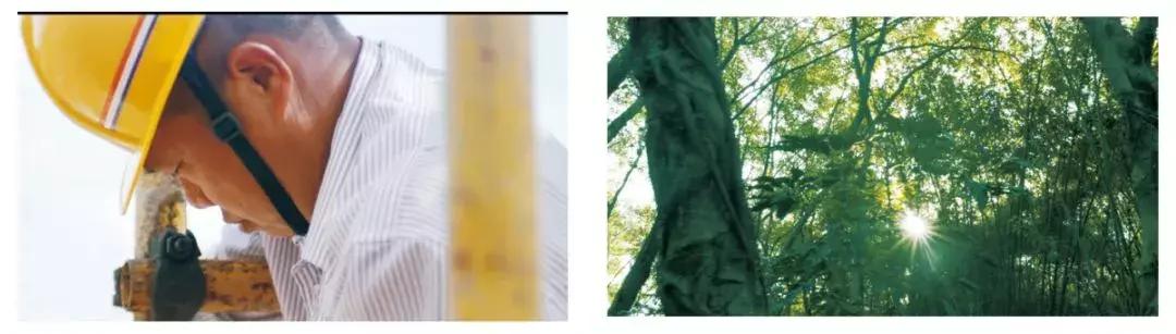 寻味顺德清水打边炉店名,寻味顺德打边炉舌尖上的中国