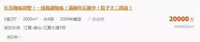 汤逊湖新盘,汤逊湖最佳观湖楼盘