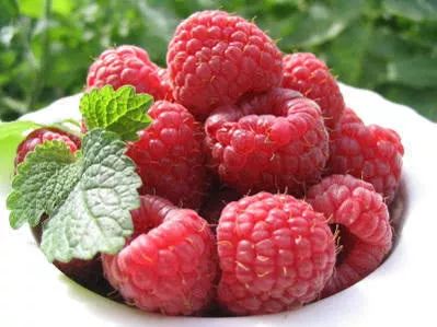 辽宁盛产什么水果,辽宁省各市食物特色