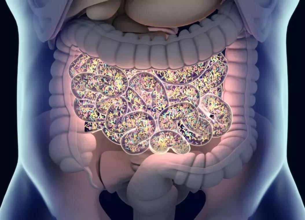原始人类的饮食,原始人类吃什么
