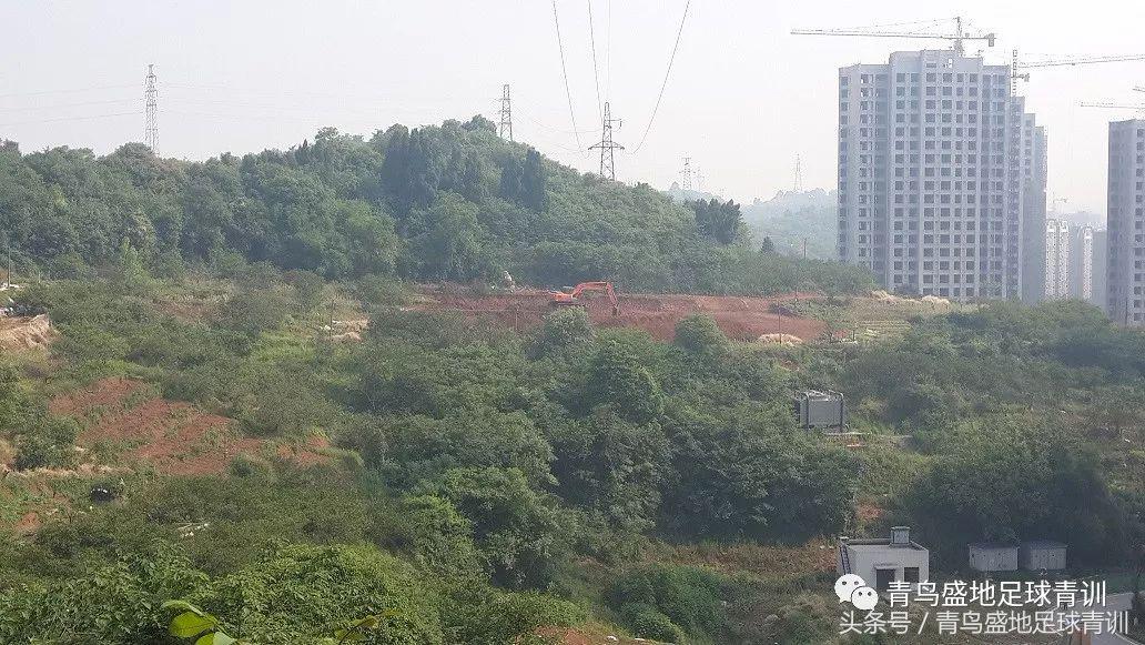 庆祝两周年店庆,2022青鸟盛地八人制足球比赛