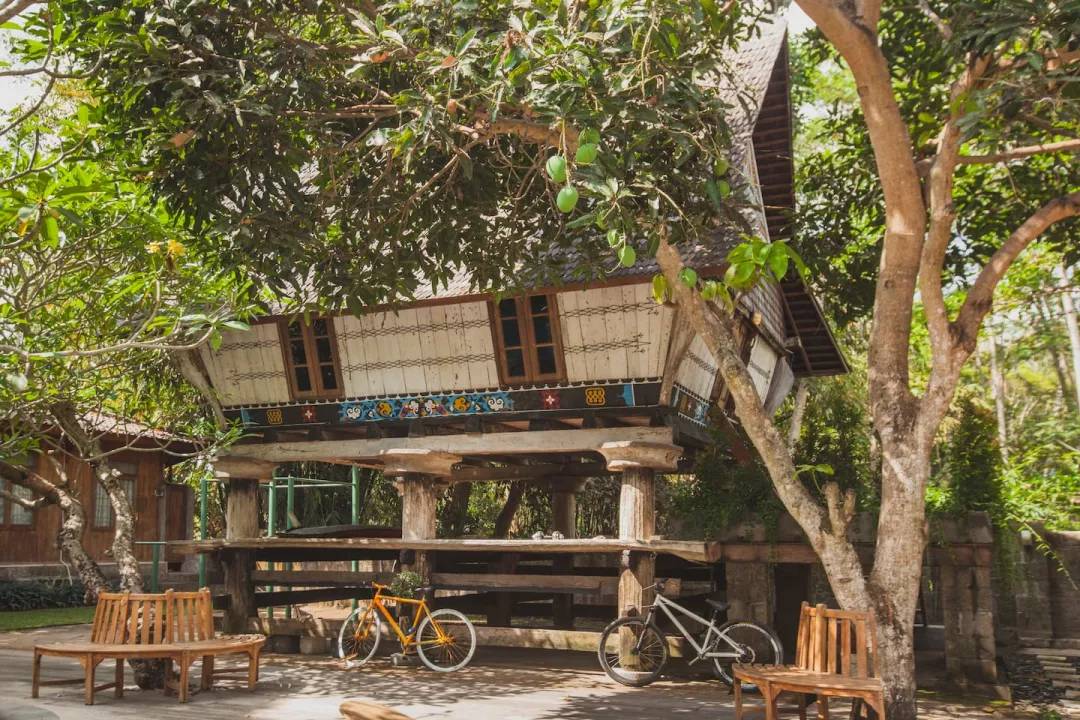 巴厘岛旅行tips,巴厘岛旅游攻略pdf