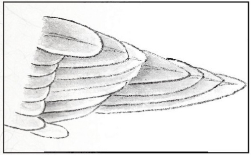 工笔禽鸟技法视频,工笔鸟翅膀画法