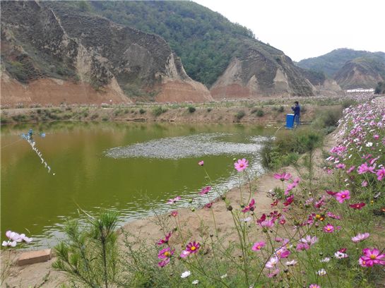 国际在线：精神文明建设绘就陕西子长美好发展图景