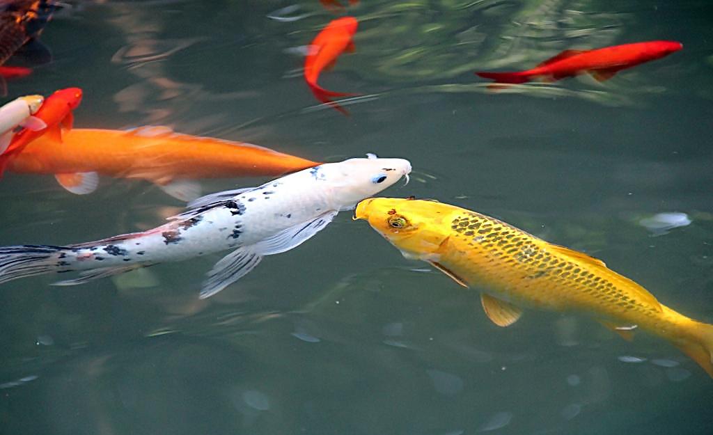 安装失败怎么办,失败了怎么办