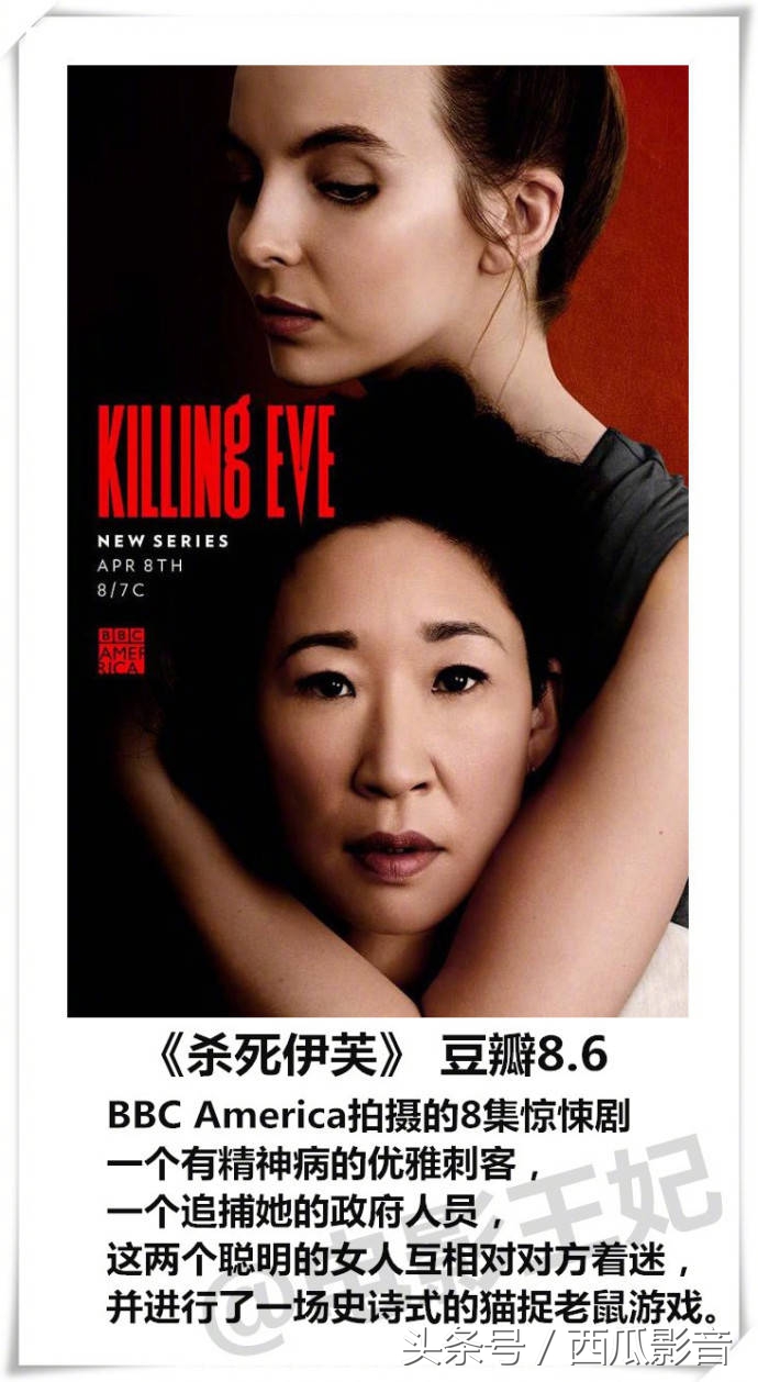 这四部剧荒必看的高质量冷门好剧,剧荒的神剧