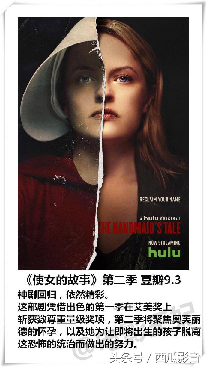 这四部剧荒必看的高质量冷门好剧,剧荒的神剧