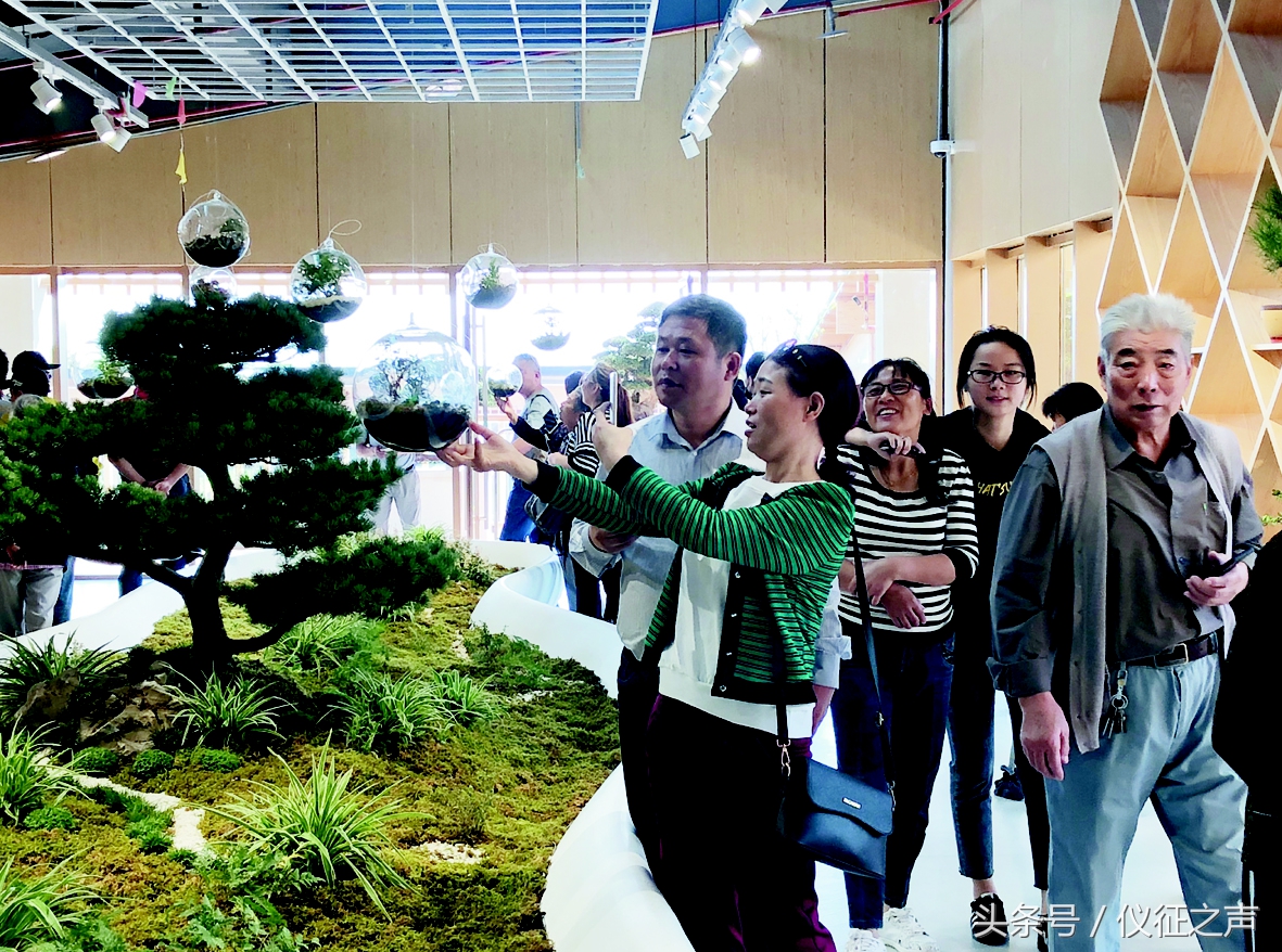 四方宾客聚会,四方宾客完整版