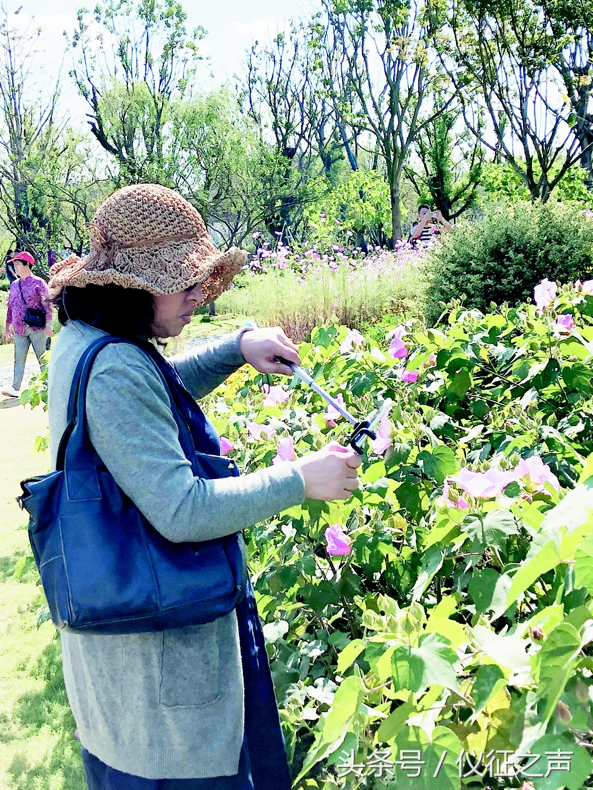 四方宾客聚会,四方宾客完整版