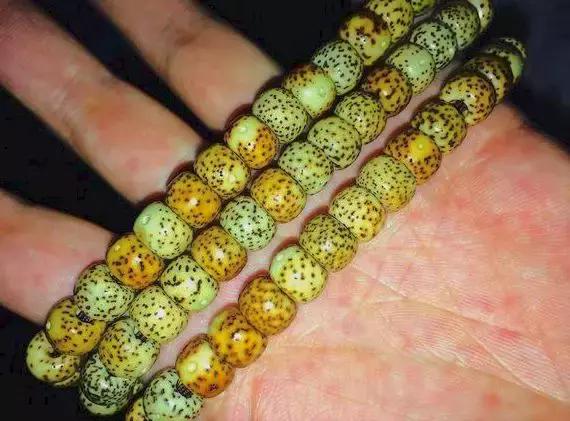 星月水煮后盘玩还能变色吗,星月放久了自己会开片吗