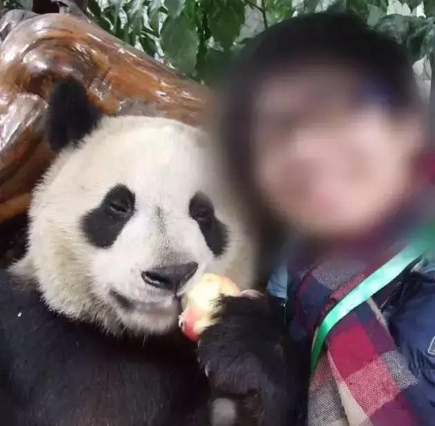 18岁中国留学生跃轨自杀,当场死亡!“我并没有想象的快乐”