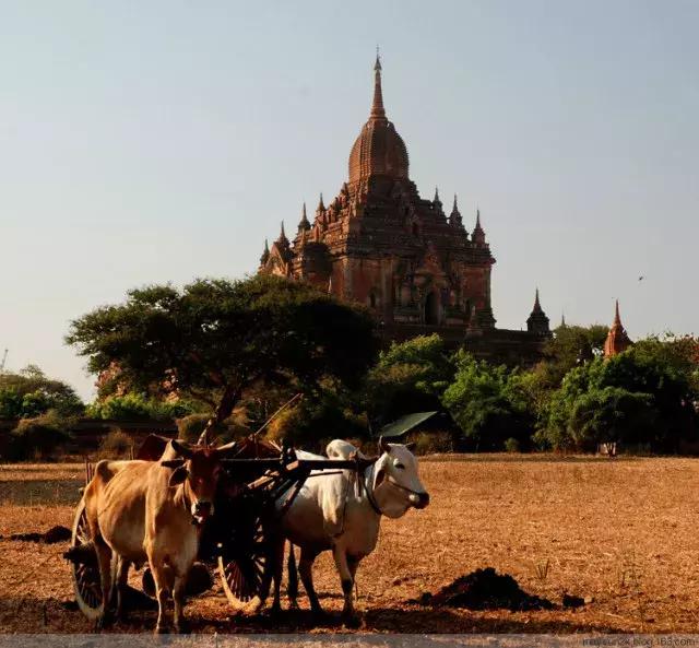 2022年缅甸落地签可以办吗,2023缅甸落地签