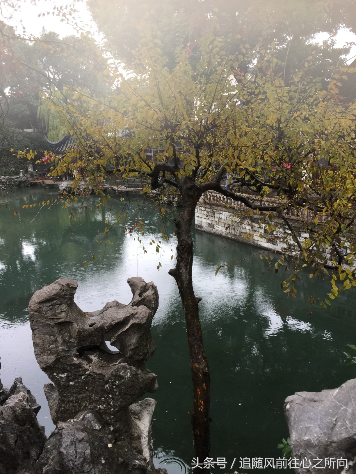 跟团旅游有什么好处和坏处英文,跟团旅游的好坏处