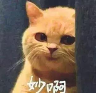 河南十大旅游示范区,河南首批重点示范镇