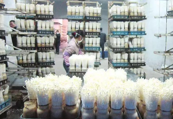 河南十大旅游示范区,河南首批重点示范镇