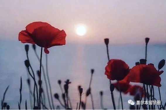 热气球降落到高校,热气球出校门