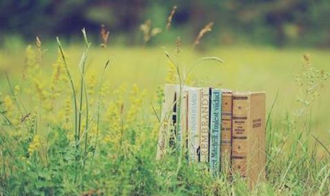 2022年成人高考专升本政治试题,2021年成人专升本政治考试真题