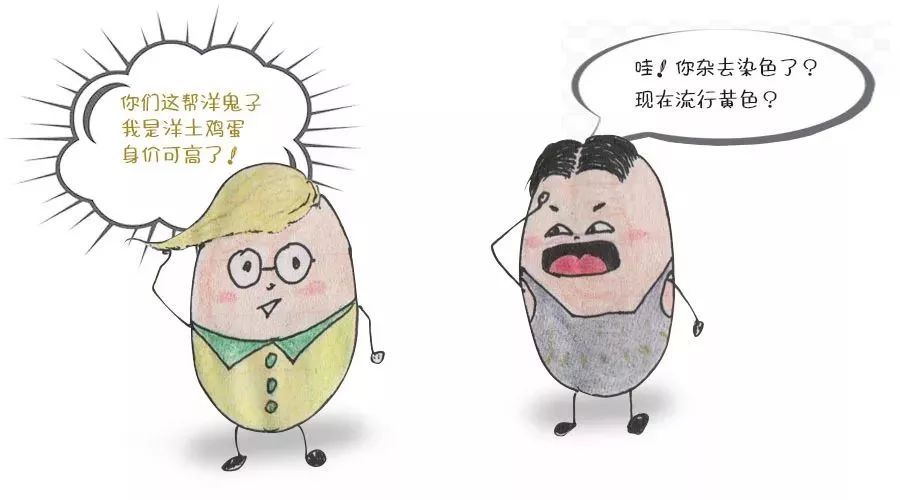 鸭蛋鹅蛋鸡蛋怎么选,鸡蛋鸭蛋鹅蛋鹌鹑蛋鸽子蛋哪个好