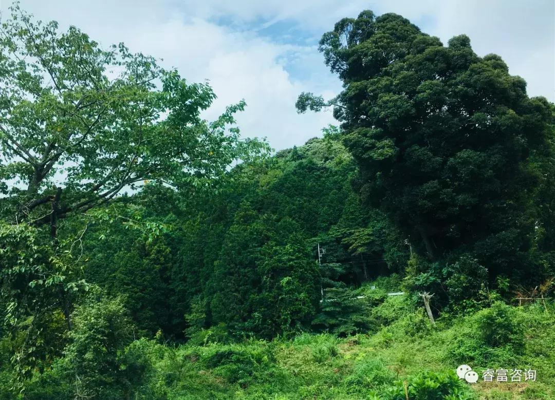 睿富文旅｜为纪念母亲和发展日本畜牧业而建的MotherFarm