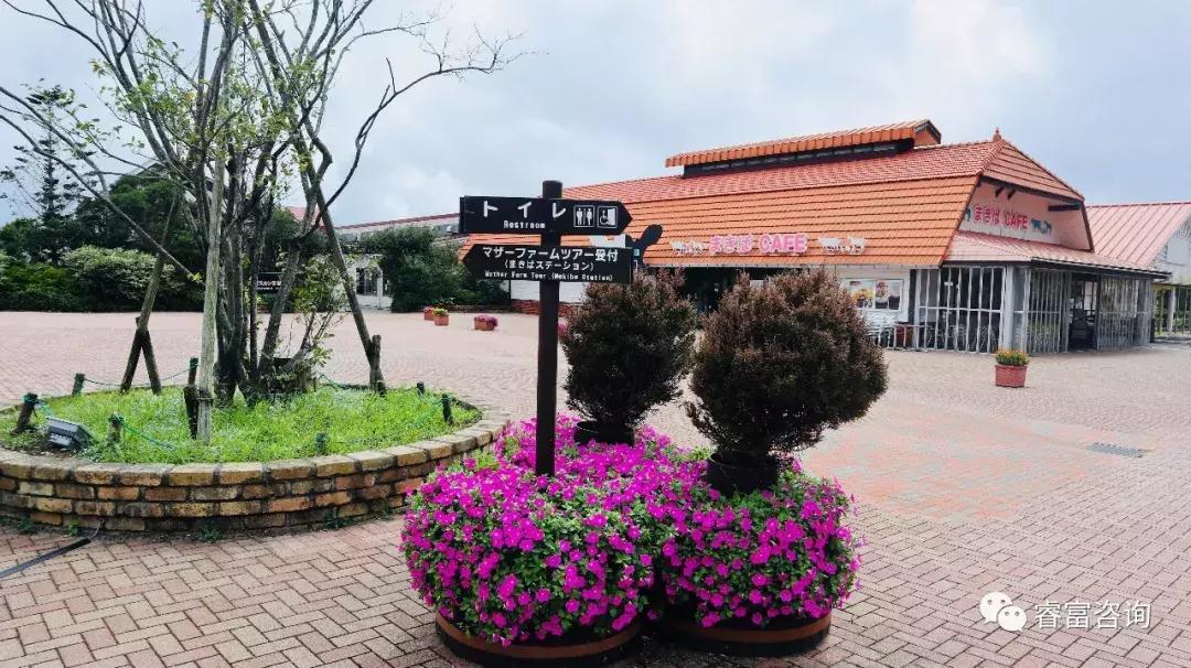 睿富文旅｜为纪念母亲和发展日本畜牧业而建的MotherFarm