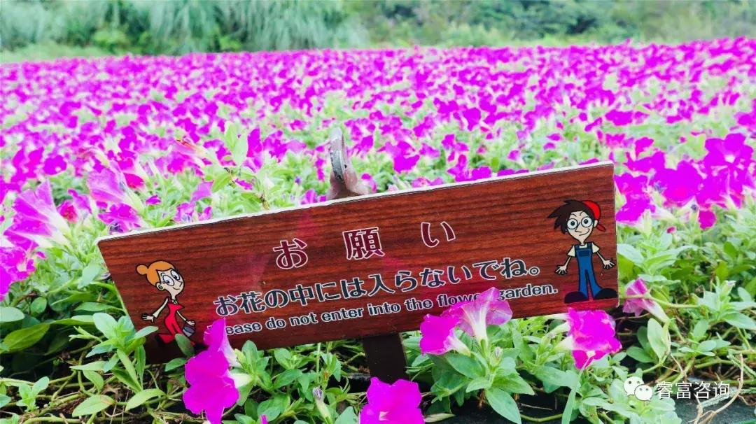 睿富文旅｜为纪念母亲和发展日本畜牧业而建的MotherFarm