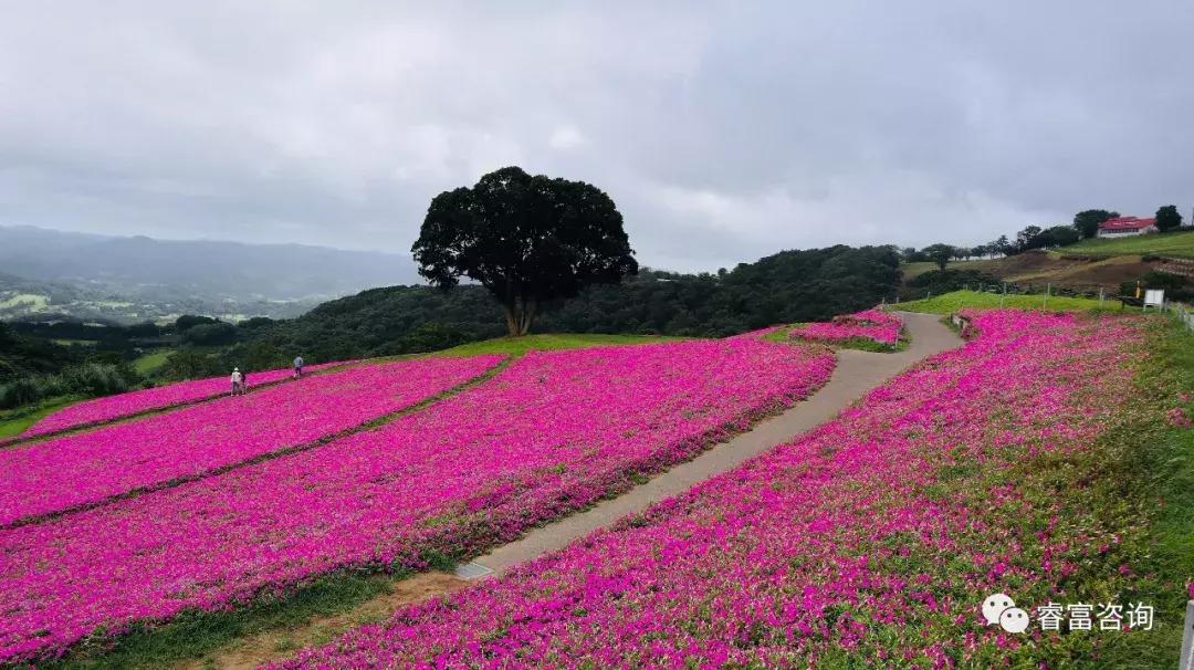 睿富文旅｜为纪念母亲和发展日本畜牧业而建的MotherFarm