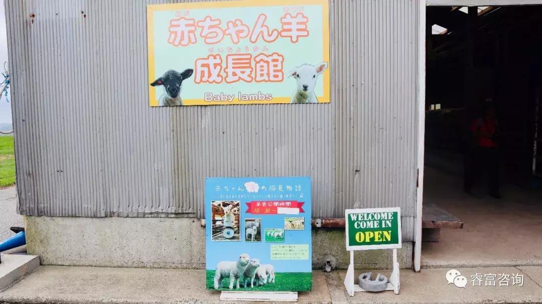 睿富文旅｜为纪念母亲和发展日本畜牧业而建的MotherFarm